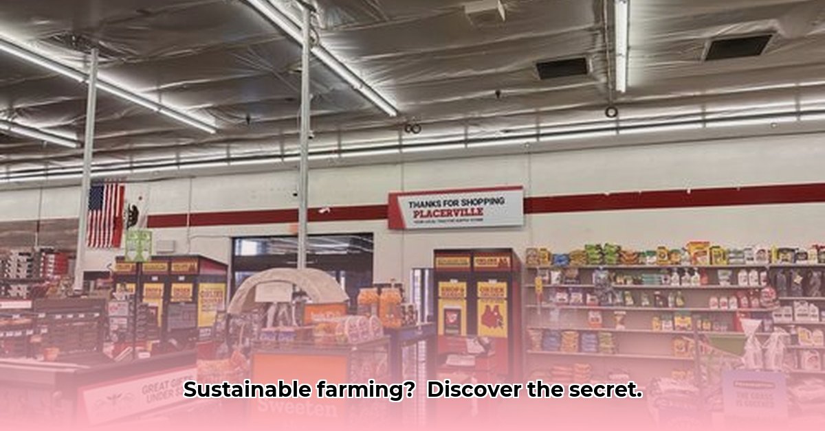 placerville-tractor-supply